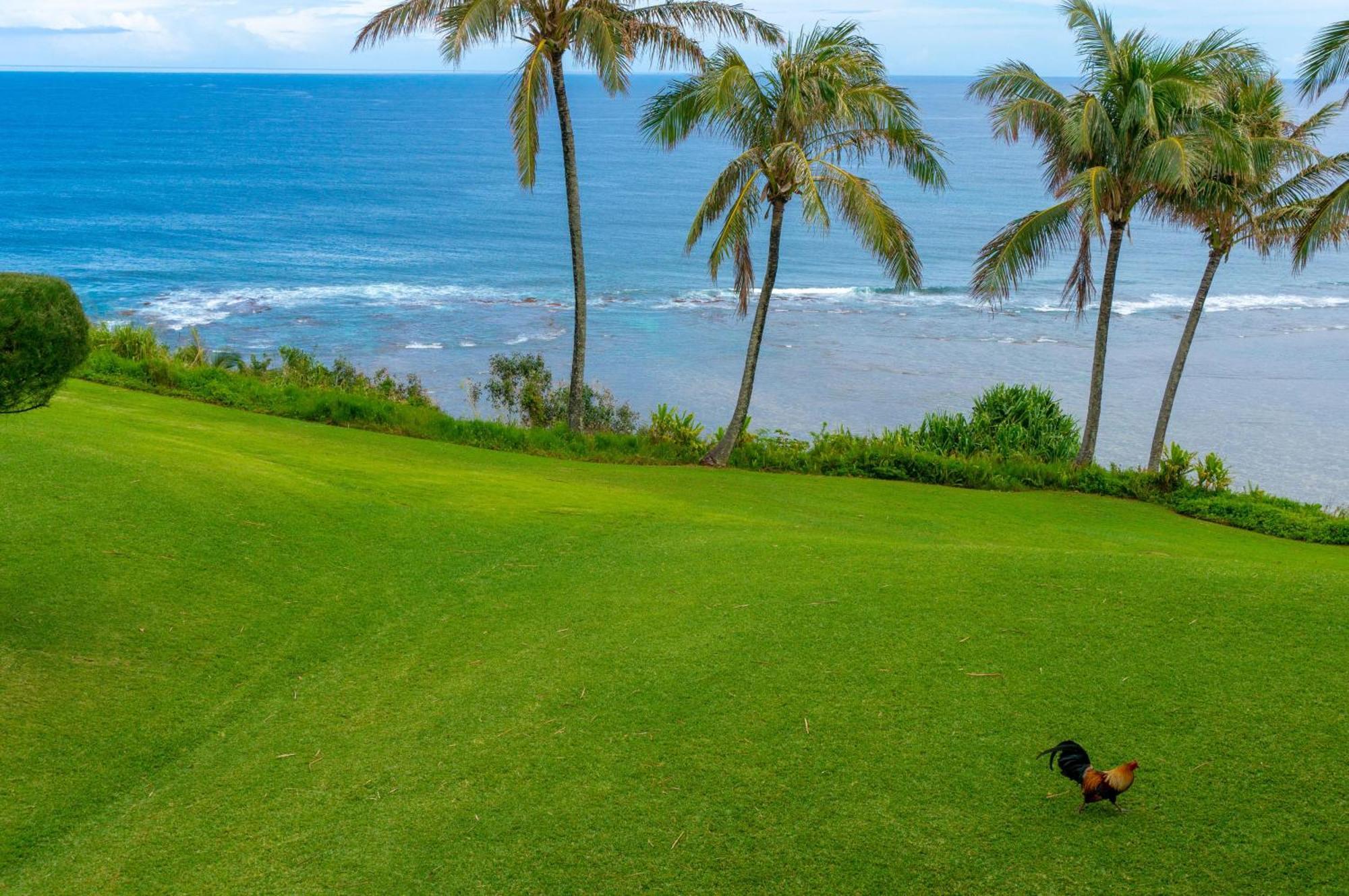 Sealodge J9 Princeville Exteriér fotografie